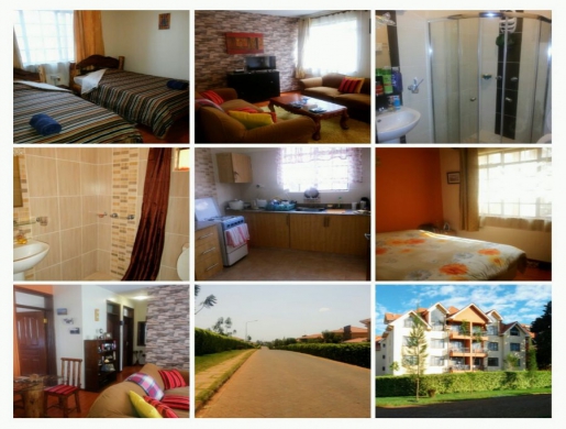 2 bedroom furnished apartment to let, Nairobi -  Kenya