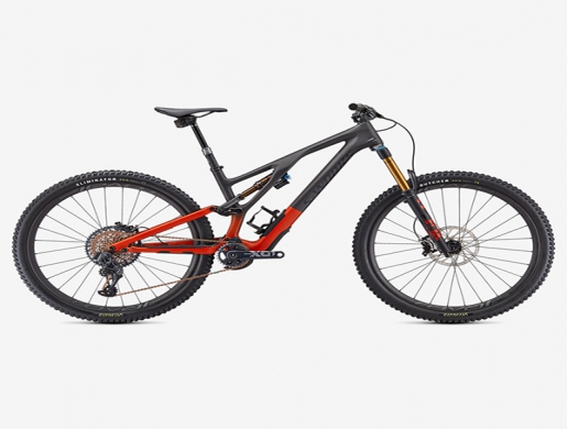 2021 SPECIALIZED S-WORKS STUMPJUMPER EVO MOUNTAIN BIKE, Mbabane -  Swaziland