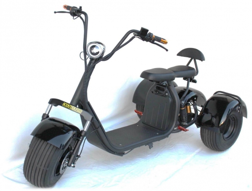 Brand New 3000W Harley Citycoco tricycle, Nairobi -  Kenya