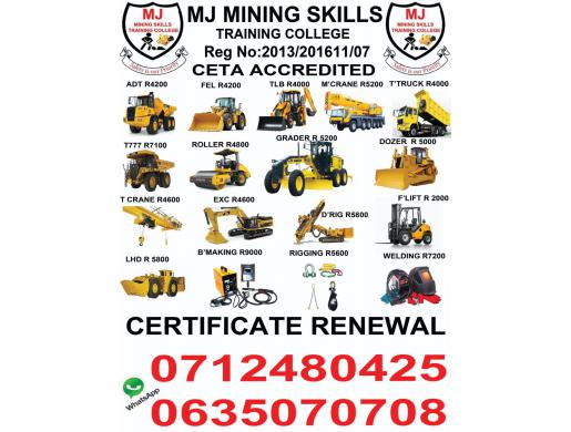 Dump truck training in witbank kriel secunda ermelo middelburg embalenhle hendrina carolina 0712480425/0635070708, Witbank -  South Africa