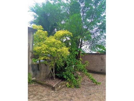 duplex a vendre Douala / quatier Harry, Douala -  Cameroun