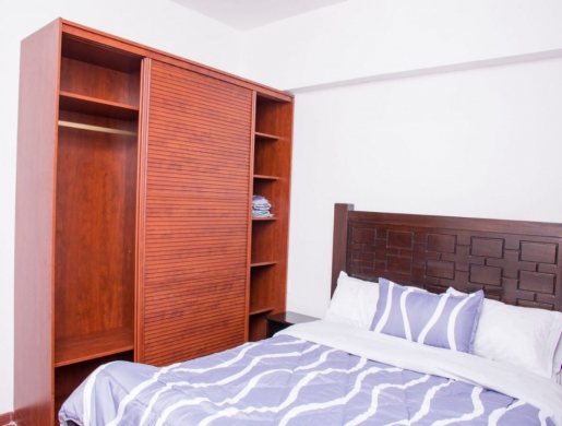 Executive 2 Bedroom Furnished Apartment in Kilimani Nairobi, Nairobi -  Kenya