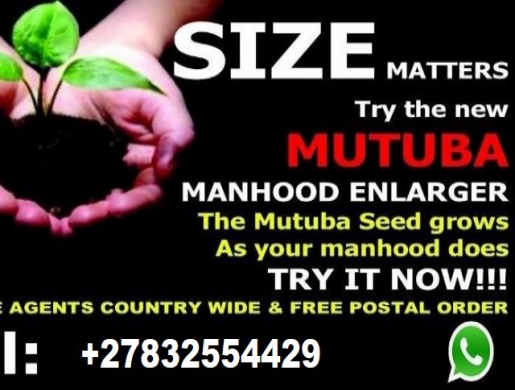 Mutuba seed in Pretoria +27832554429, Johannesburg -  South Africa