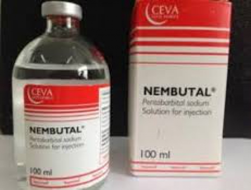 Nembutal Pentobarbital Sodium for sale without prescription, Johannesburg -  South Africa