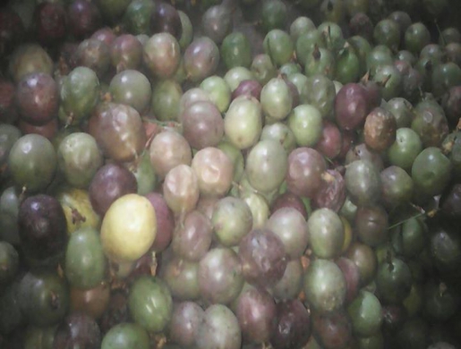 Passion fruits, Kampala -  Uganda