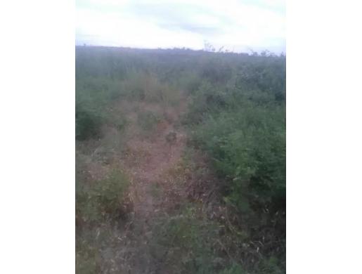 Shamba heka 10 zinauzwa, Bagamoyo - Tanzania