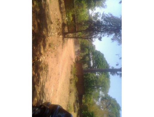 SUNNYSIDE House For Sale, Lilongwe -  Malawi