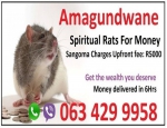 Money spells with spiritual rats in south Africa +27634299958 spain Italy usa uk UAE Kuwait Egypt Turkey