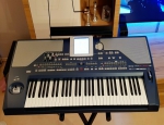 korg pa 800