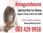 Spiritual rats or amagundwane are the one i use for a powerful money spells in usa uk canada sydney +27634299958