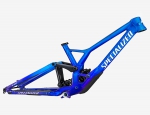 2021 SEPCIALIZED DEMO RACE FRAMESET MOUNTAIN