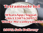 99.9% Purity Tetraminsaeure CAS 5036-02-2/16595-80-5/5086-74-8 with Perfect Price From China
