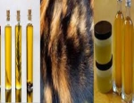 Professional in selling Sandawana Oil and Skin in South Africa +27838588197