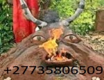 TOP BEST SPIRITUAL HERBALIST HEALER/ LOST LOVE SPELLS/ LOTTERY SPELLS +27735806509